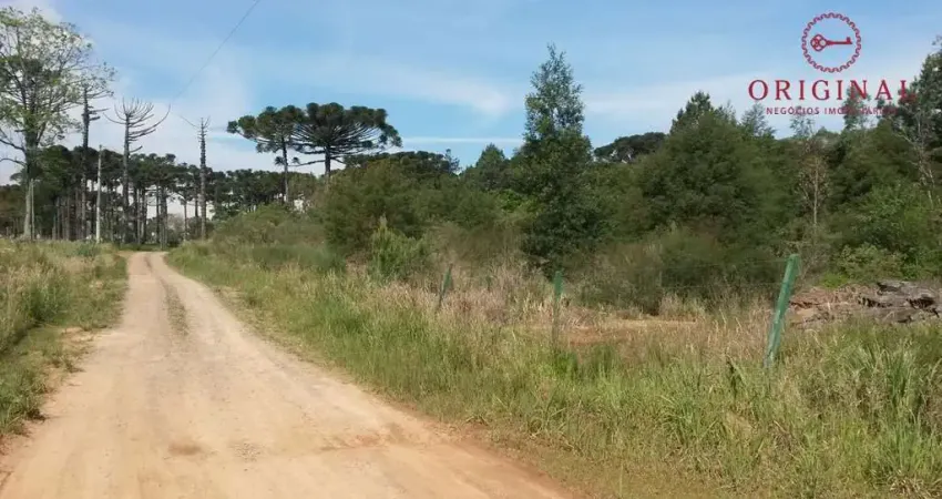 Terreno à venda na Travessão Victor Emanuel, 025, Maestra, Caxias do Sul