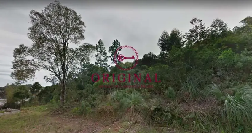 Terreno à venda na Asti, 300, São Gotardo (Distrito), Flores da Cunha