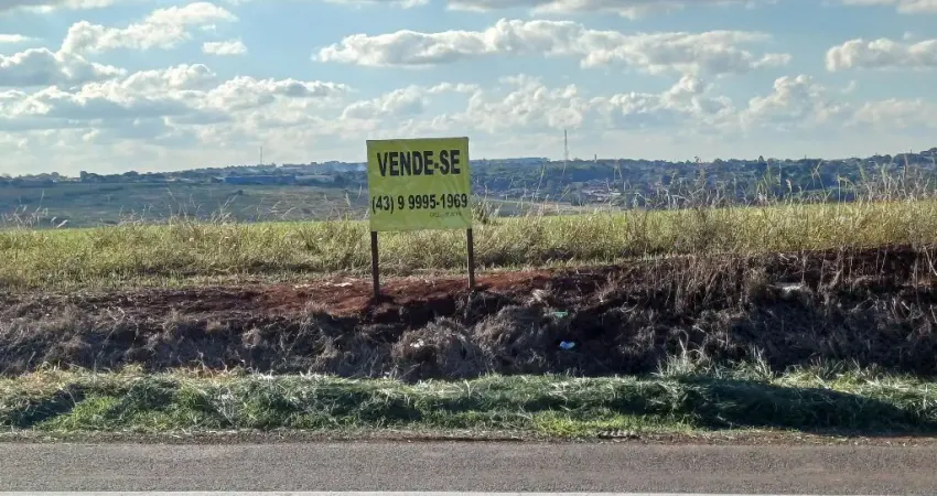 AREA INDUSTRIAL,5.638 ALQUEIRES,  FRENTE PARA RODOVIA 369