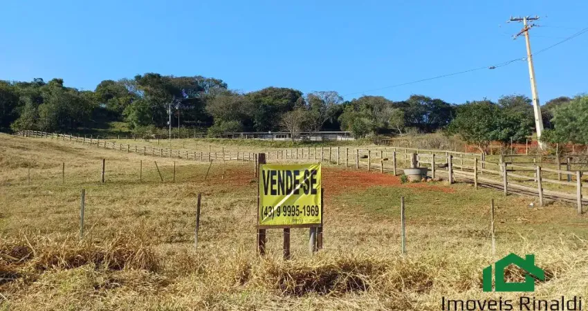 ÁREA RURAL, 20.405 M². FRENTE PARA A PR 445, SALTINHO, LONDRINA PR
