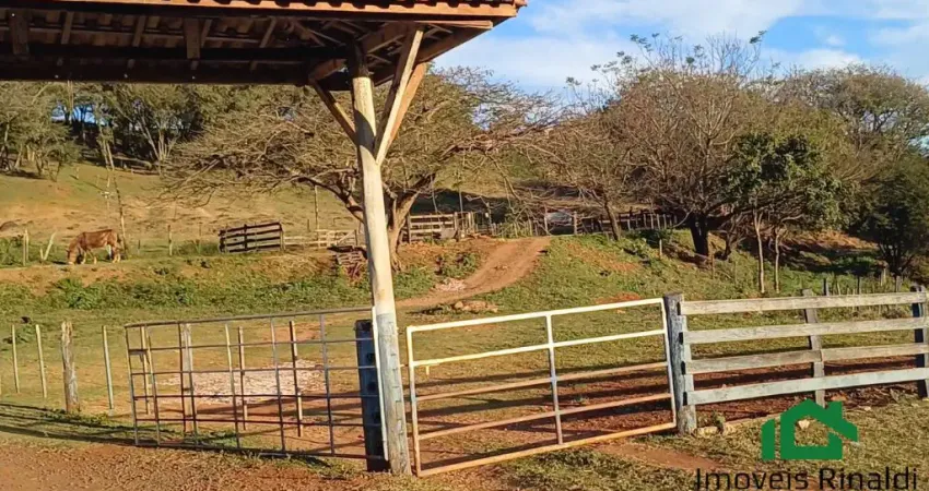 SÍTIO COM 35.204 M², FRENTE PARA A PR 445, SALTINHO LONDRINA PR