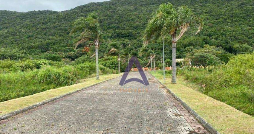 Terreno à venda, 401 m² por R$ 500.000,00 - Pântano do Sul - Florianópolis/SC