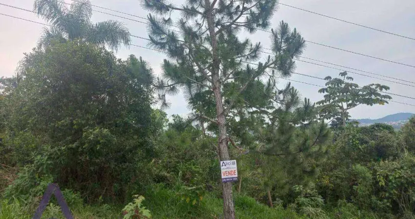 Terreno à venda, 444 m² por R$ 390.000,00 - Ribeirão da Ilha - Florianópolis/SC