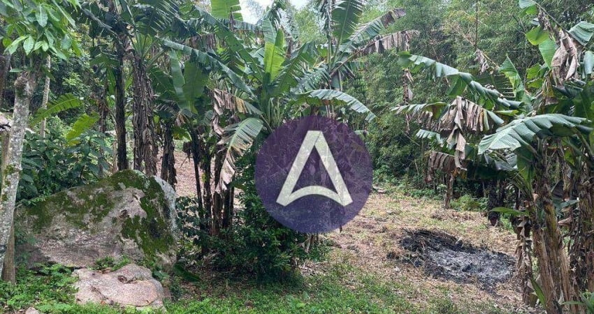 Terreno à venda, 915 m² por R$ 650.000,00 - Pântano do Sul - Florianópolis/SC