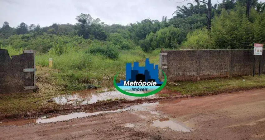 Área à venda, 36113 m² por R$ 10.000.000,00 - Chácaras Nova Suzano - Suzano/SP