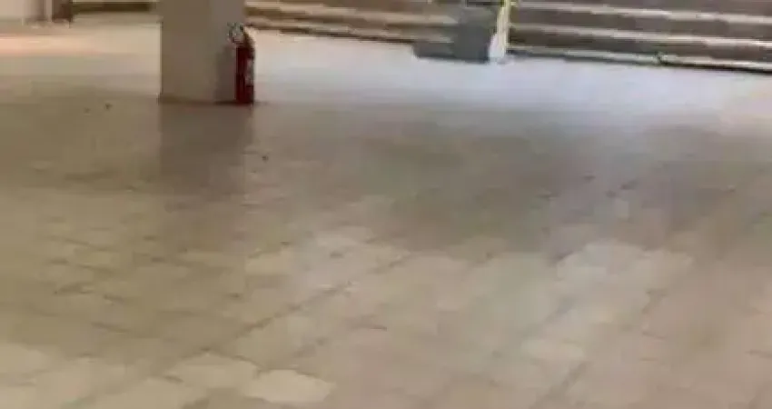 Galpão para alugar, 5213 m² por r$ 250.000,00/mês - santana - são paulo/sp