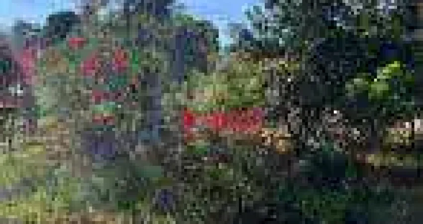 Terreno à venda, 1100 m² por R$ 255.000,00 - Monte Bianco - Araçoiaba da Serra/SP