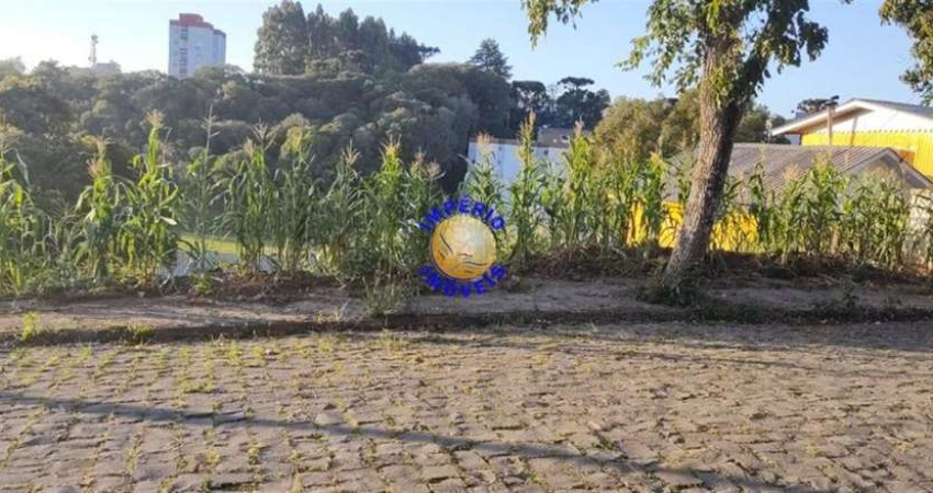 Terreno à venda na Cidade Nova, Caxias do Sul 