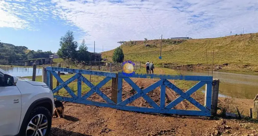 Chácara / sítio à venda na Zona Rural, Caxias do Sul 