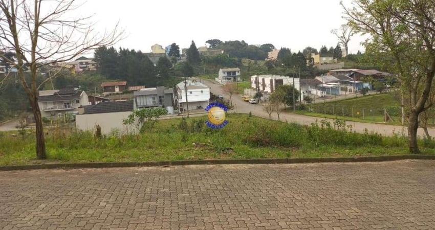 Terreno à venda no São Caetano, Caxias do Sul 