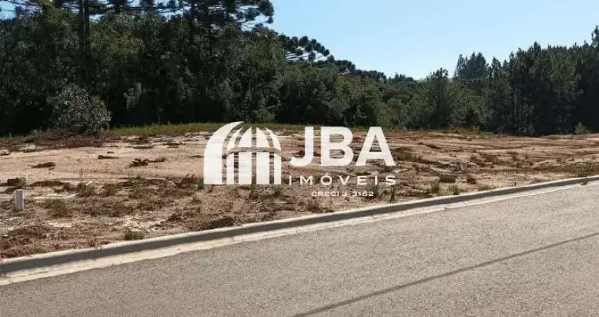 Terreno à venda na Rua Pedro Câmbio Cortiano, 60, Jardim Orestes Thá, Quatro Barras
