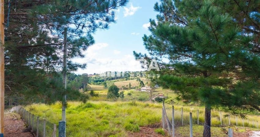 Chácara / sítio à venda na José Carlos Pereira Dos Santos, 800, Rancho Alegre, Campina Grande do Sul