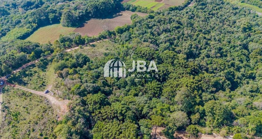 Chácara / sítio à venda na Jacob Klaine, 34, São Miguel, Almirante Tamandaré