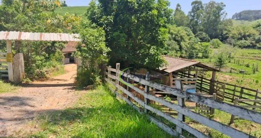 Chácara com 5 dormitórios à venda, 25000 m² por r$ 800.000,00 - conceicao dos ouros - conceição dos ouros/mg