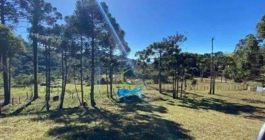Área à venda, 46000 m² por R$ 950.000,00 - Atras da Pedra - Gonçalves/MG