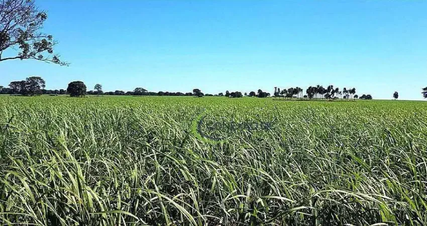 Fazenda à venda, 11616000 m² por R$ 57.000.000,00 - Alexandrina - Quirinópolis/GO