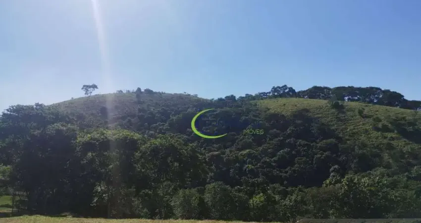 Sítio à venda, 605000 m² por R$ 13.200.000,00 - Roncador - São Francisco Xavier/SP