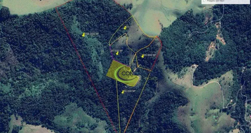 Sítio à venda, 605000 m² por r$ 13.200.000,00 - roncador - são francisco xavier/sp