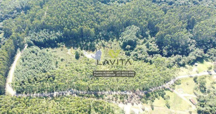 Sítio à venda, 36000 m² por R$ 280.000 - Cedro Alto - Rio dos Cedros/Santa Catarina | La Vita Imóveis
