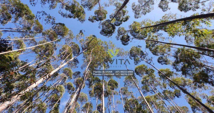Sítio à venda, 36.000 m² por R$ 370.000 - Cedro Alto - Rio dos Cedros/Santa Catarina | La Vita Imóveis