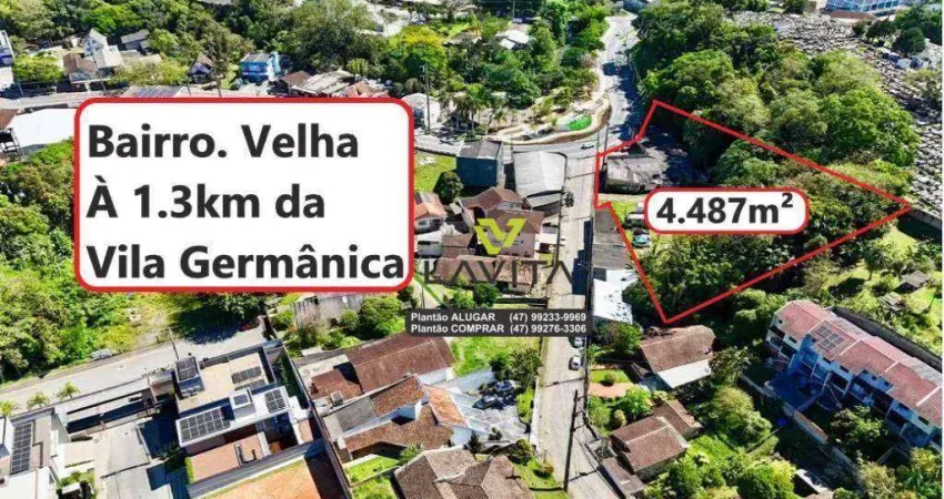 Terreno comercial ou residencial com loja à venda, 4.487 m² por r$ 2.500.000 - bairro velha - blumenau/sc