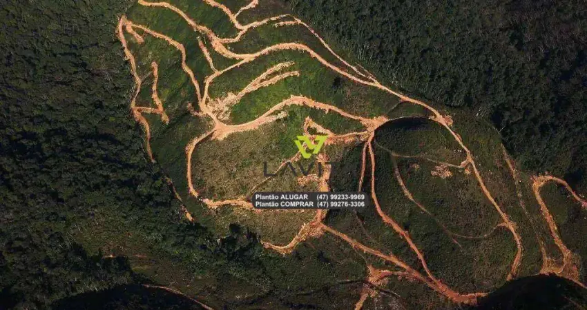 Terreno à venda, 1.044.273 m² por r$ 9.900.000 - barracão - gaspar/sc