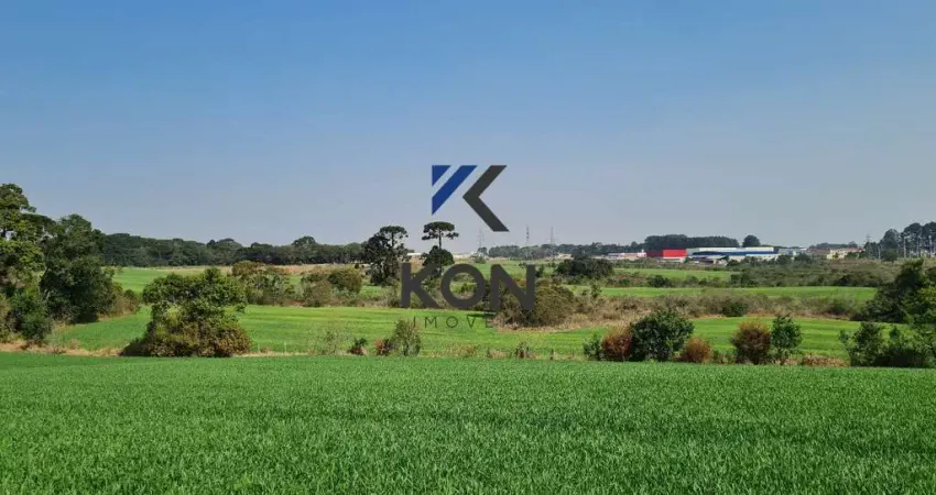 Terreno comercial à venda na Avenida Francisco Ferreira da Cruz, 6034, Eucaliptos, Fazenda Rio Grande