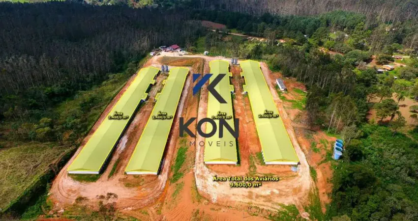 Propriedade com Granjas de Avicultura à Venda Castro Paraná