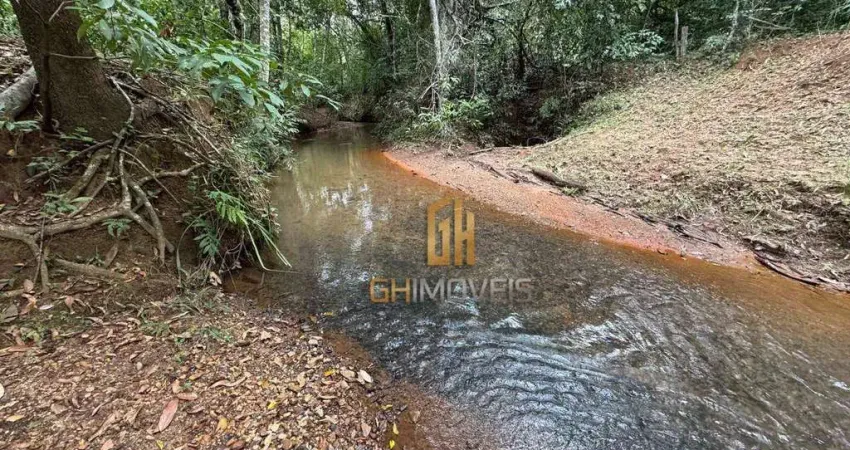 Fazenda à venda, 48400 m² por R$ 640.000,00 - Mairipotaba - Mairipotaba/GO