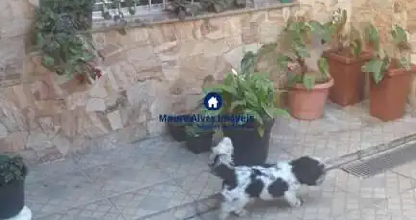 Casa com 3 quartos à venda no Alto Ipiranga, Mogi das Cruzes 