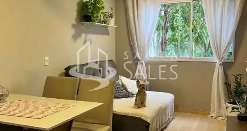 Apartamento à venda em São Paulo-SP: 2 quartos, 1 sala, 1 banheiro, 1 vaga de garagem no Jardim Helga, 44m² de área.