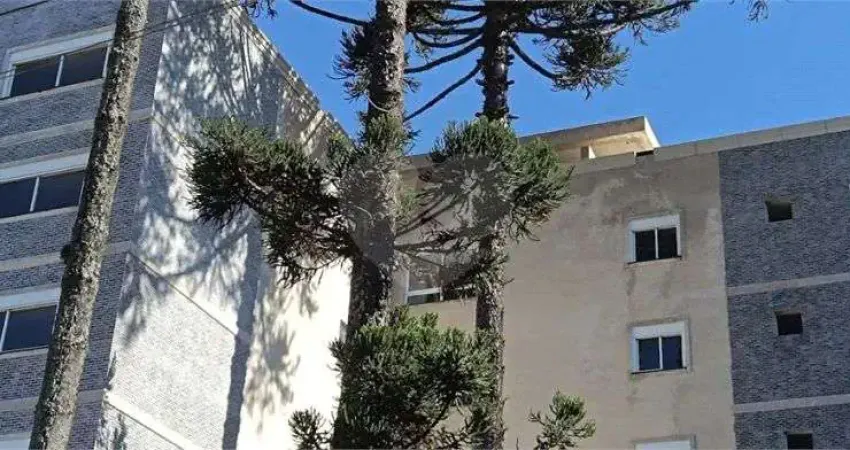 Apartamento com 3 quartos à venda em Água Verde - PR