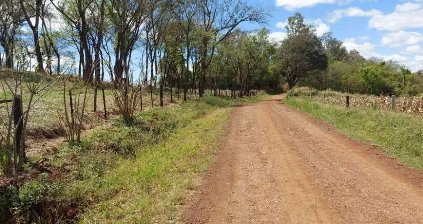 Chácara  ou sitio a Venda área de 20.000 M² toda formada  em pasto