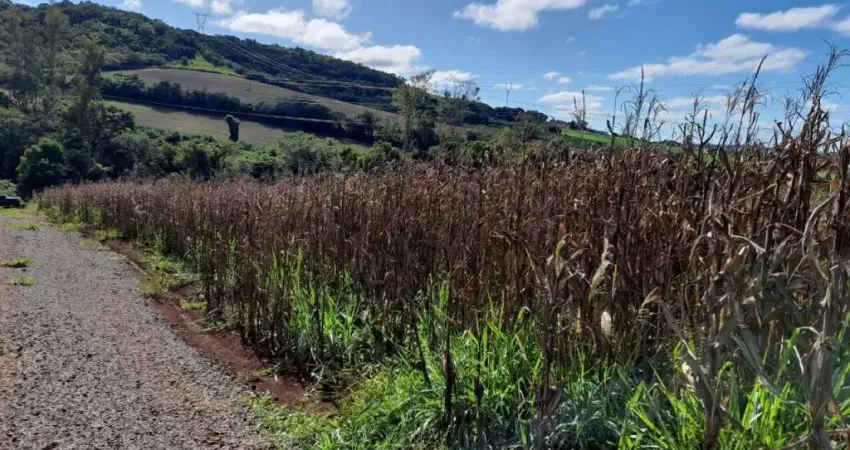 Chácara a Venda área total de12.000 M² ótima topografia100 % aproveitamento