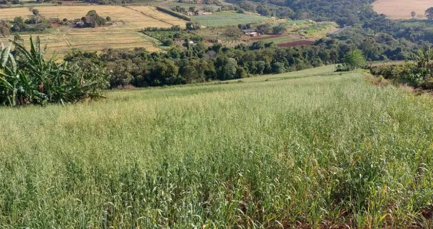 Sitio ou Chácara a Venda  área de 1,5 Alqueires   1,5 Km do asfalto .