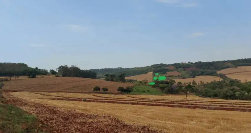 Sitio a Venda para futuros loteamentos ou  condomínios Zona Sul de Londrina