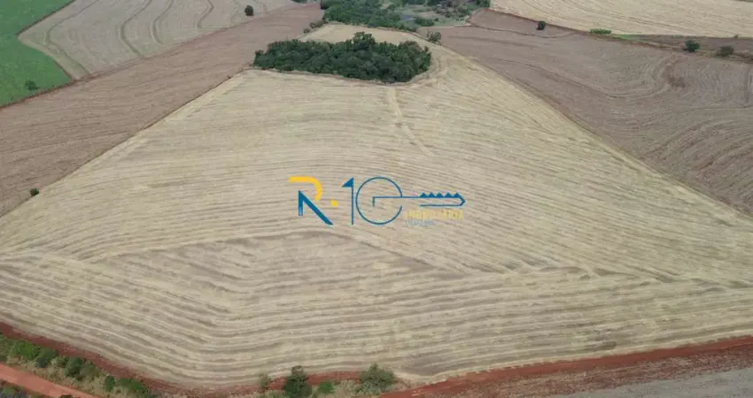 Sitio a Venda  área 10 alqueires     próximo a Rodovia PR 445 Londrina PR
