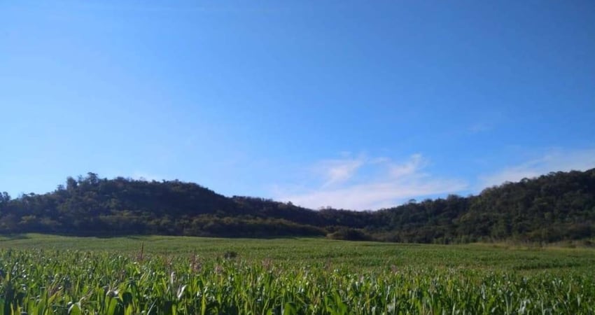 Sítio a Venda   na cidade de Assaí PR  área total 13,70 Alqueires