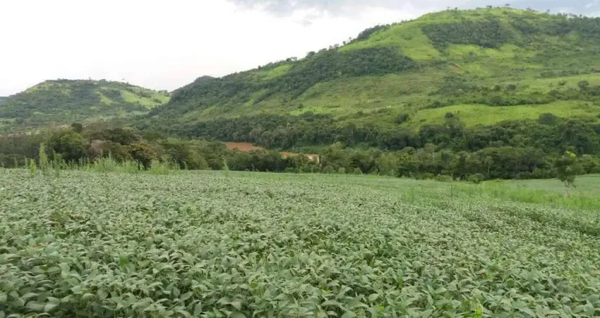 Chácara / sítio à venda na Zona Rural, Manoel Ribas
