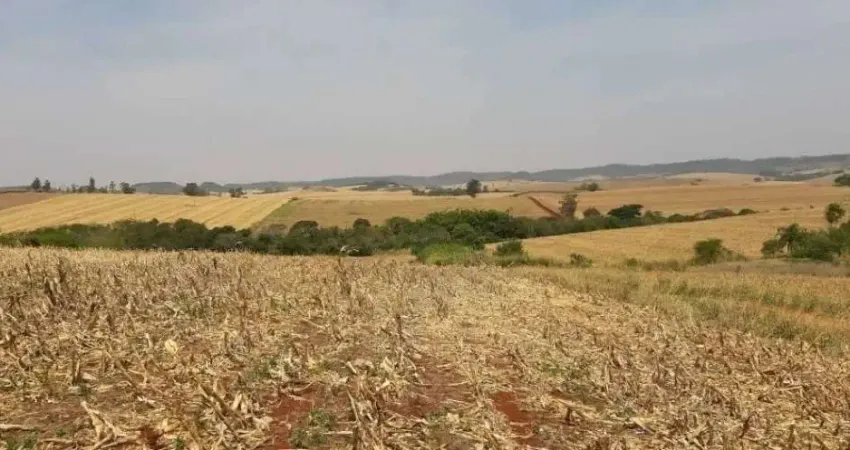 Sitio a Venda  com uma área de 10 Alqueires  na Região de Jataizinho Paraná