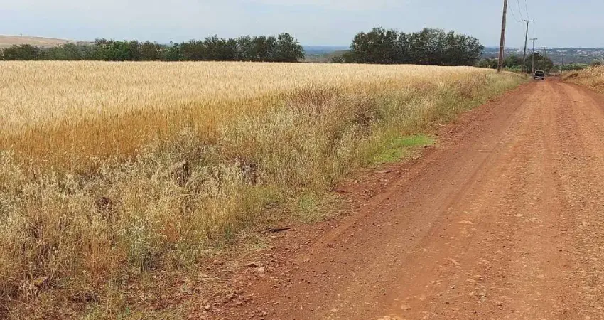 Sitio a Venda   área  de 4 Alqueires  Gleba Primavera Ibiporã PR