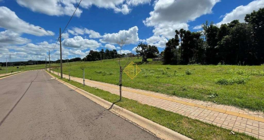 LOTE NO RESIDENCIAL PARIS, JARDIM PARIZOTTO, TOLEDO-PR,