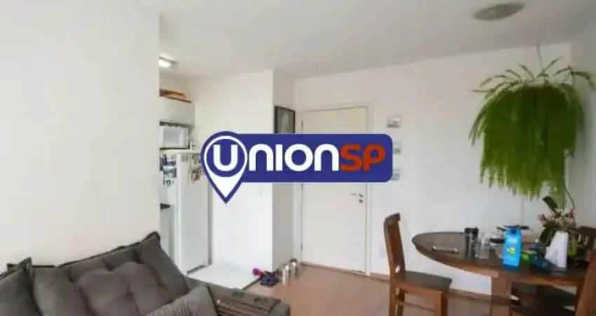 Apartamento com 2 dormitórios à venda, 50 m² - Cambuci - São Paulo/SP