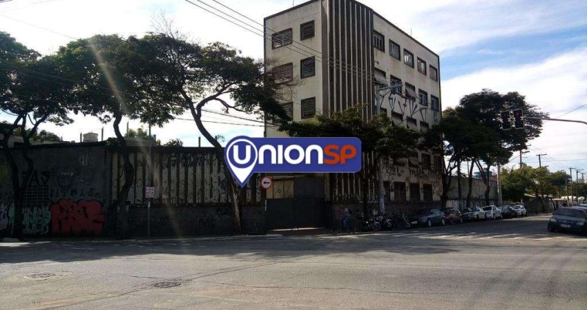Terreno à venda, 1900 m² por R$ 12.000.000,00 - Cambuci - São Paulo/SP