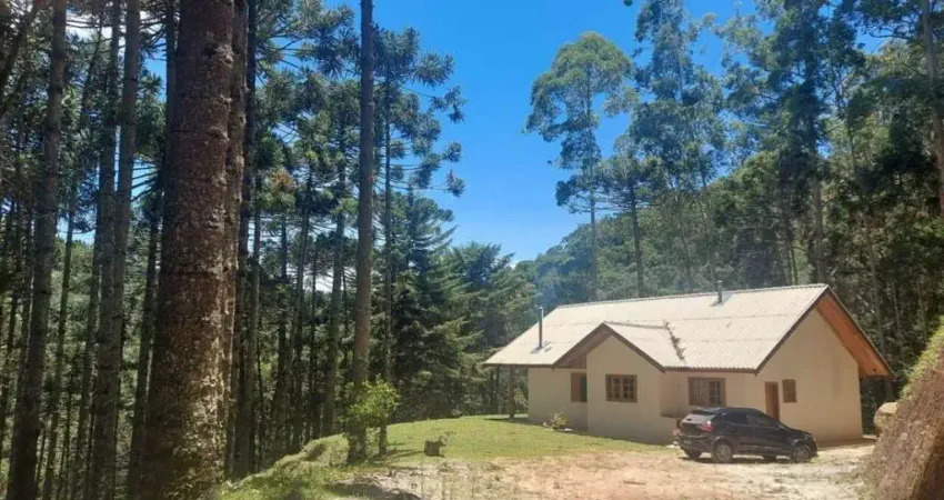 AREA RURAL PARA VENDA COM 100 HECTARES EM CAMPOS DO JORDÃO, SÃO PAULO