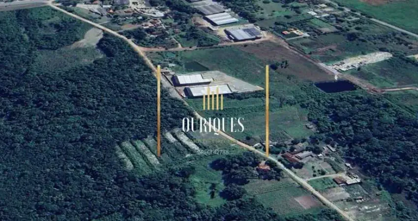 Excelente área industrial medindo 3.100m² com fácil acesso a BR 280.
