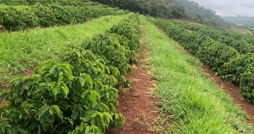 Fazenda com 10 dormitórios à venda, 750200 m² por R$ 13.000.000,00 - Rural - Ibiraci/MG