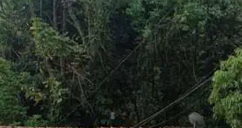 Chácara com 2 dormitórios à venda, 5000 m² por R$ 750.000,00 - Zona Rural - Patrocínio Paulista/SP