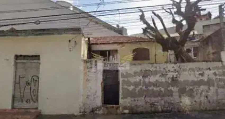 Terreno residencial para comprar, 320m² - nova gerti, são caetano do sul /sp.