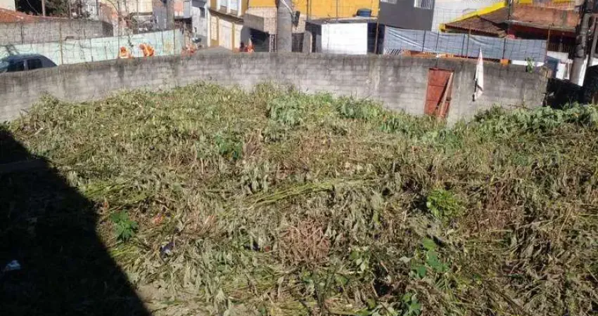 Terreno à venda, 490 m² por r$ 699.000 - jardim célia (zona sul) - são paulo/sp